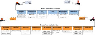 Increasing sustainability in the tomato processing industry: environmental impact analysis and future development scenarios